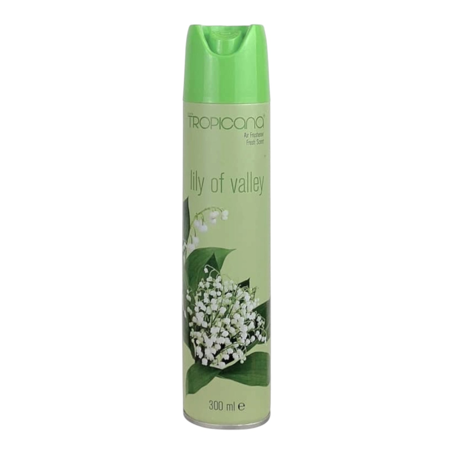 AMBIENTADORES-300 ML