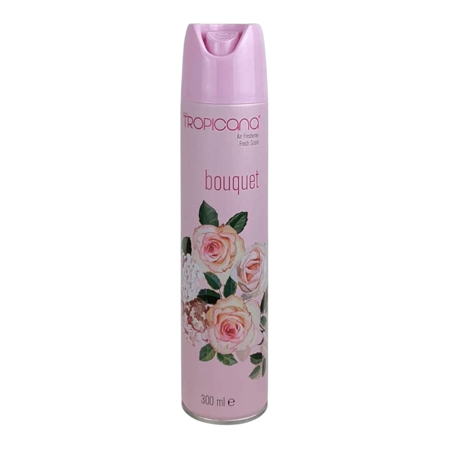 AMBIENTADORES-300 ML