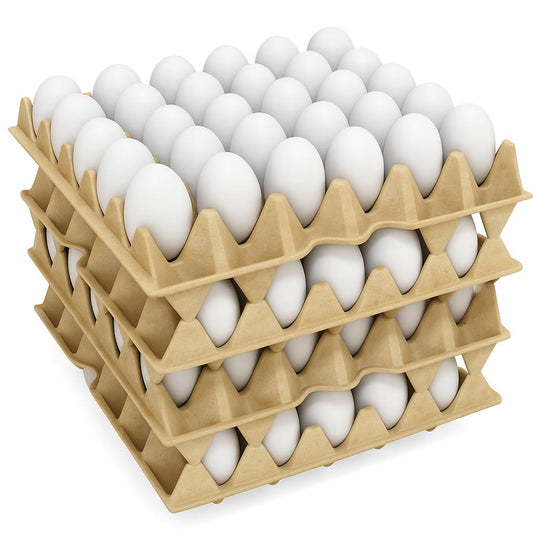 Files de Huevo de Gallina